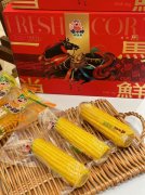 傻小胖：以“傻”守初心，用品质领鲜全国